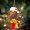 Vizsla Give Gifts Hanging Ornament Flat Acrylic Dog Ornament Dog Lovers Gifts For Him Or Her 1 jrnio7.jpg
