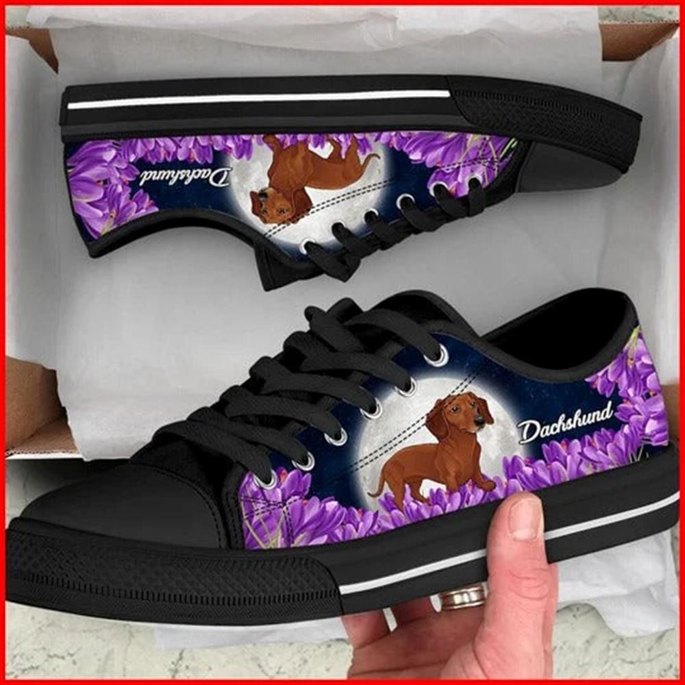 Dachshund And Purple Flower Canvas Low Top Shoes Low Top Shoes Mens Women 1 d4myiq.jpg Dachshund And Purple Flower Canvas Low Top Shoes Low Top Shoes Mens Women 1 d4myiq.jpg