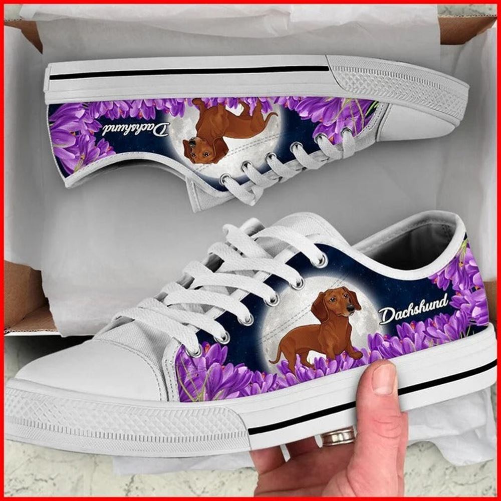 Dachshund And Purple Flower Canvas Low Top Shoes Low Top Shoes Mens Women 2 lsufte.jpg Dachshund And Purple Flower Canvas Low Top Shoes Low Top Shoes Mens Women 2 lsufte.jpg