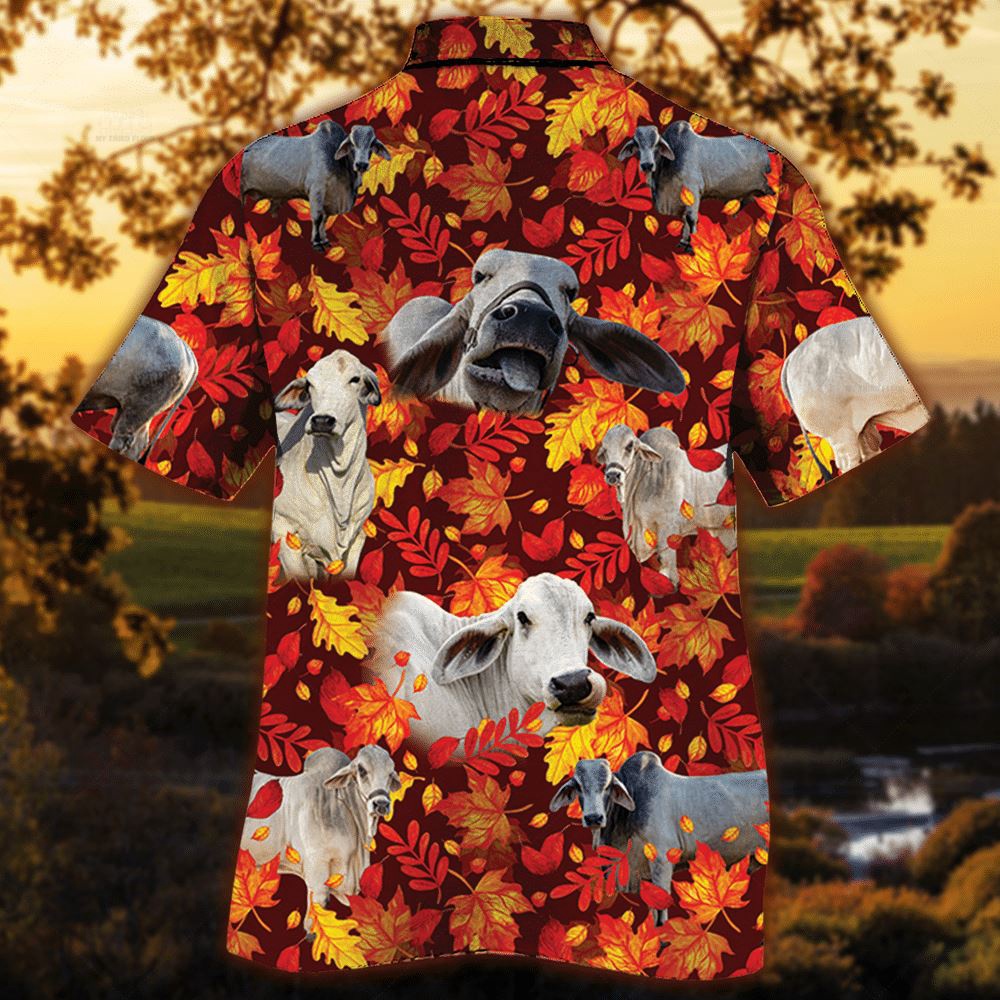 Farm Hawaiian Shirt Brahman Cattle Autumn Leaves All Over Printed 3D Hawaiian Shirt Animal Hawaiian Shirt 2 se6alh.jpg Farm Hawaiian Shirt Brahman Cattle Autumn Leaves All Over Printed 3D Hawaiian Shirt Animal Hawaiian Shirt 2 se6alh.jpg