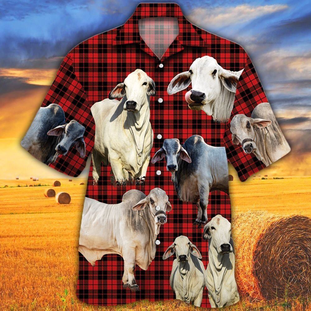 Farm Hawaiian Shirt Brahman Cattle Red Tartan Pattern All Over Printed 3D Hawaiian Shirt Animal Hawaiian Shirt 1 gr6wli.jpg Farm Hawaiian Shirt Brahman Cattle Red Tartan Pattern All Over Printed 3D Hawaiian Shirt Animal Hawaiian Shirt 1 gr6wli.jpg
