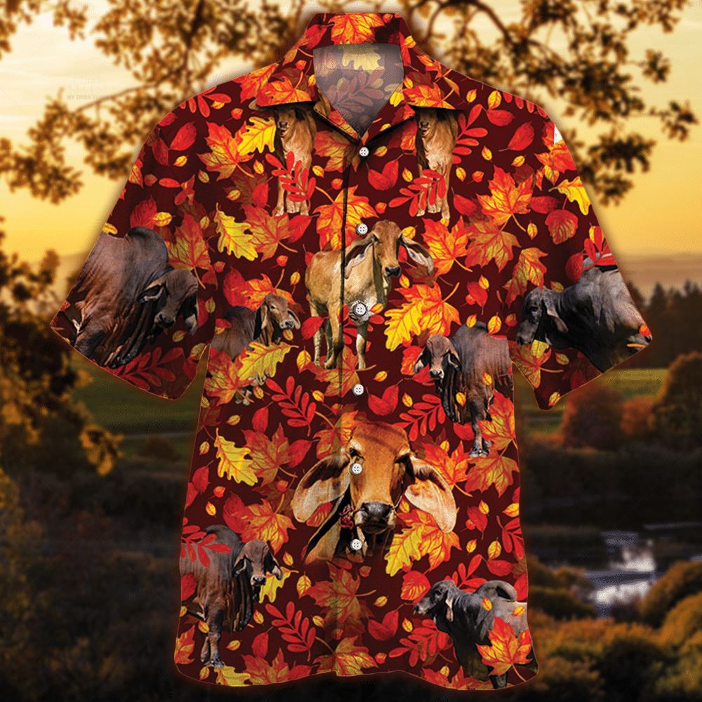 Farm Hawaiian Shirt Red Brahman Cattle Autumn Leaves All Over Printed 3D Hawaiian Shirt Animal Hawaiian Shirt 1 x7ecs5.jpg Farm Hawaiian Shirt Red Brahman Cattle Autumn Leaves All Over Printed 3D Hawaiian Shirt Animal Hawaiian Shirt 1 x7ecs5.jpg