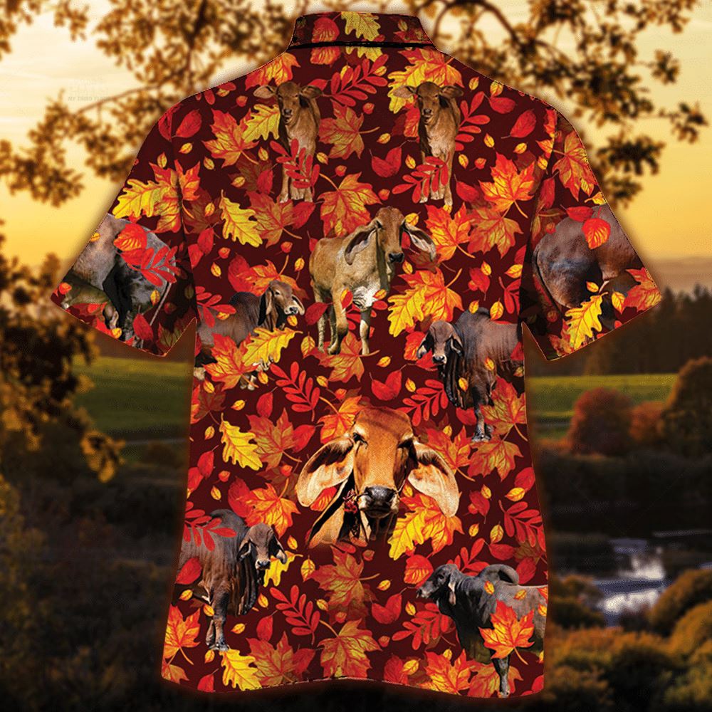 Farm Hawaiian Shirt Red Brahman Cattle Autumn Leaves All Over Printed 3D Hawaiian Shirt Animal Hawaiian Shirt 2 cy8r6t.jpg Farm Hawaiian Shirt Red Brahman Cattle Autumn Leaves All Over Printed 3D Hawaiian Shirt Animal Hawaiian Shirt 2 cy8r6t.jpg
