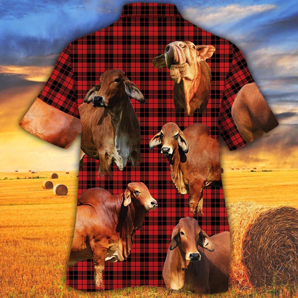 Farm Hawaiian Shirt Red Brahman Cattle Red Tartan Pattern All Over Printed 3D Hawaiian Shirt Animal Hawaiian Shirt 2 g9oj3j.jpg Farm Hawaiian Shirt Red Brahman Cattle Red Tartan Pattern All Over Printed 3D Hawaiian Shirt Animal Hawaiian Shirt 2 g9oj3j.jpg