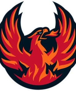 Coachella Valley Firebirds