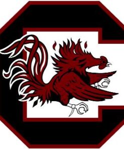 South Carolina Gamecocks