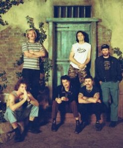 King Gizzard And The Lizard Wizard