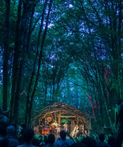 Pickathon Festival