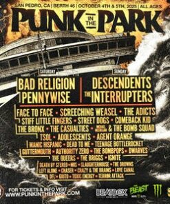 Punk In The Park