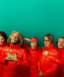 The Flaming Lips